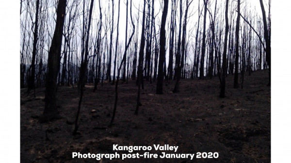 Kangaroo Valley Slide