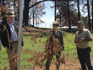 20200312 Adelong and Batlow 161