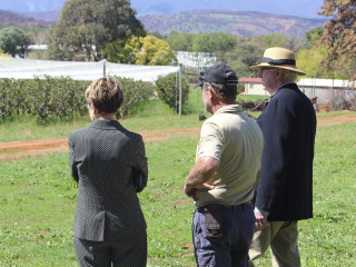 20200312 Adelong and Batlow 175