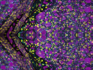 539342873 1344120697715214 6842745179725341432 n