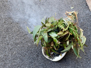 Picture12